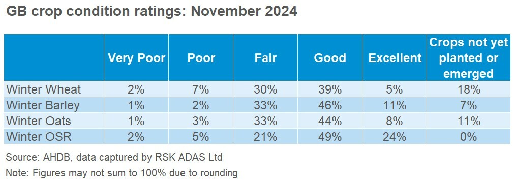 GB crop condition ratings as of late November 2024